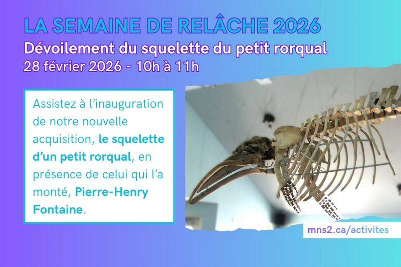 Le Musée de la Nature et des Sciences actif pendant la relâche